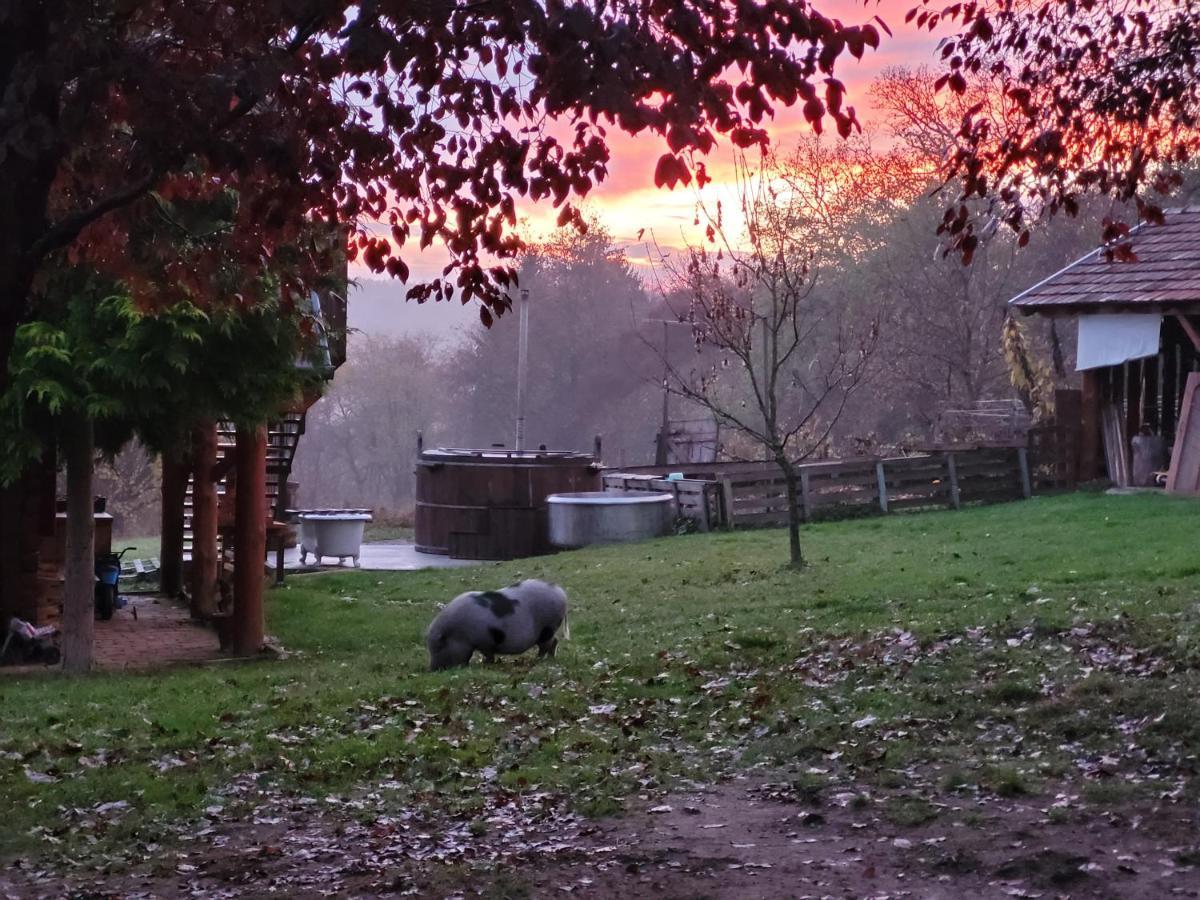 Boronahaz Fogado Hotel Szalafo Bagian luar foto