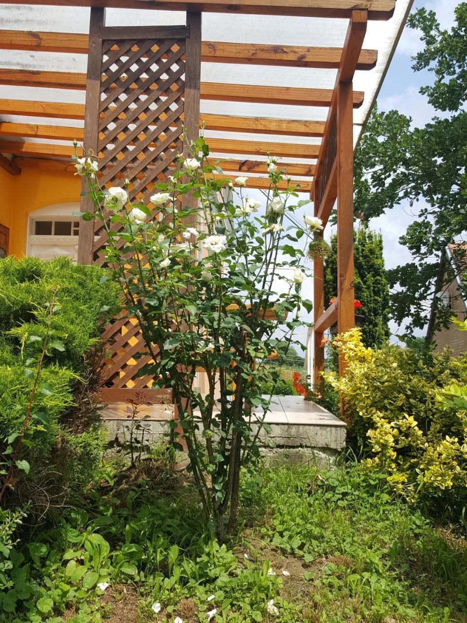 Boronahaz Fogado Hotel Szalafo Bagian luar foto